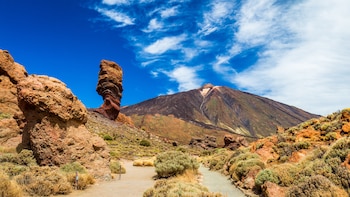 El Cabildo de Tenerife restringe