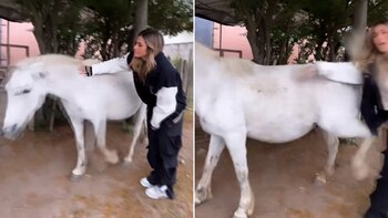 Julieta Poggio trató de acariciar