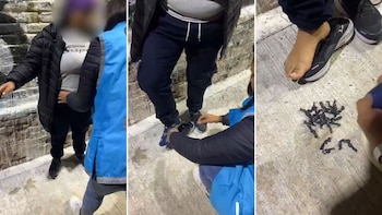 Una mujer fue detenida luego