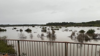Continúa la crecida del río