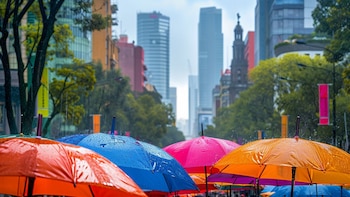 ¿Cuál es la temperatura promedio